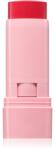 Astra Make-up IDENTISTICK кремообразен руж в стик 03 - Berry Being