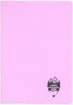 DACO Caiet A4, 100 file Daco CT410AR, 70 g/mp, Matematica, coperta plastic, Mov pastel (CT410AR/MOVPASTEL)