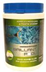 Brillant Pool Maxi-combinație de clor 200 g tablete - 1 kg BRILLANT POOL (UVCOM-01/503359)