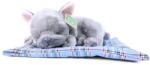 Rappa Caine de pluș Bulldog francez culcat 23 cm ECO-FRIENDLY (RP195073)