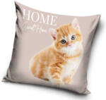 Carbotex Cicás Home párnahuzat 40x40 cm Velúr (CBX214094PNL)