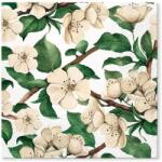 PAW papírszalvéta 33x33 cm 3 rétegű 20 lap/csomag Almavirágok