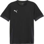 PUMA Teamgoal Matchday Jersey (70574703)