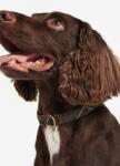 Barbour Нашийник за куче Barbour (DAC0005)
