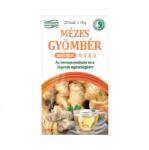  Gyömbér instant tea mézzel ízesítve DR. CHEN (20x10g)