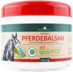 Herbamedicus Balsam Ardei Iute Herbamedicus Hot 500ml