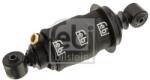 Febi Bilstein Amortizor, suspensie cabina FEBI BILSTEIN 106700 (106700) - fixbox