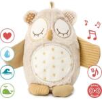 Cloud b Nighty Night Owl Smart Sensor - bagoly