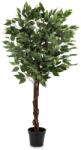 Art-Pol Dísznövény Ficus Műanyag Zöld 125x70x70cm (179201)