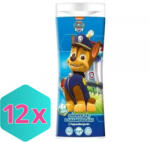  Mancs őrjárat/Paw Patrol -Chase tusfürdő és sampon, 300 ml KARTON - 12 db (K5903957301969)