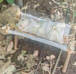 Babás Timi Kis jézus Baba