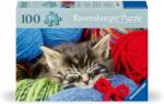 Ravensburger - Puzzle pentru varstnici pisicuta cu sablon de imagine si suport din carton 100 piese mari XL (RVSPA01363) - ejuniorul