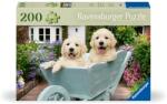 Ravensburger - Puzzle pentru varstnici Golden Retriever cu sablon de imagine si suport din carton 200 piese mari XL (RVSPA01368) - ejuniorul