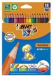 BIC Set creioane colorate Evolution Bic, P18