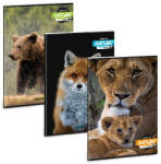 Ars Una Füzet sima ARS UNA A/4 40 lapos Extra kapcsos Spirit Of Nature