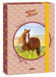 Ars Una Füzetbox ARS UNA A/4 My Sweet Horse