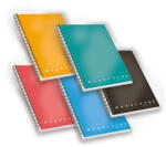 Pigna Spirálfüzet Pigna Monocromo Professional A/4 100 lapos kockás kemény fedeles