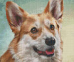 Pixelhobby 806148 Corgie szett 6 alaplapos (30, 5x25, 4 cm) (806148) - kreativjatek