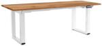 Rauman Masă înălțime reglabilă OfficeTech Strong 200 x 80 cm, picioare albe, stejar auriu