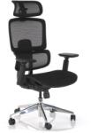 Rauman Scaun de birou Lustro, negru (D-T8-BH_BLACK)