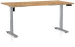 Rauman Masă înălțime reglabilă OfficeTech B, 160 x 80 cm, picioare gri, stejar auriu