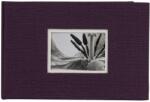 Dörr Dörr keményfedeles zsebalbum, ablakos, becsúsztatós, 40db 10x15cm, lila (D880394) (D880394)