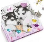 Derform Cleo és Frank kutyás - Kreatív kulcsos napló gyémántokkal 13 x 13 cm (DPKD3KCF38) (DPKD3KCF38)