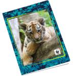 Panini Тетрадка Panini WWF Fotografico - А4, 40 листа, широки редове, асортимент (69954)