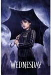  Wednesday poszter - Downpour 61 x 91 cm (PP35274)