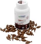 adVET Supliment hepatic pentru caini si pisici HepActiv, 60 capsule