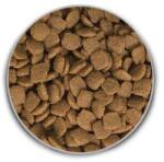 ACANA Puppy Large Breed 11, 4 kg + Rabbit Snack 500g GRÁTISZ
