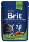  Brit Premium Cat Pouches Chicken Slices for Sterilised - 4x100 g