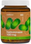Wellbear Nattokinase 100 mg - 60 capsule