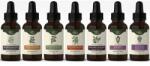 NANGA Tinctura Protocol de Buhner Lyme Disease - 7 x 50 ml