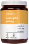 Vitaler's Schinduf 500 mg - 60 capsule