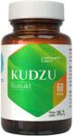 Hepatica Kudzu Extract 500 mg - 60 capsule