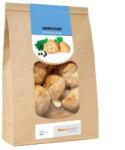 MycoMedica Ciuperci Hericium uscate - 100 g