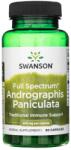 Swanson Spectrul complet Andrographis Paniculata 400 mg - 60 capsule