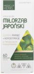 Medica Herbs Ginkgo Biloba 120 mg - 60 capsule
