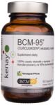 Kenay Turmeric BCM-95 ® extract - 60 capsule