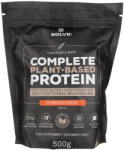 Solve Labs Complete Plant-Based Protein, Pumpkin Spice - 500 g