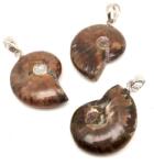 R. M. ékszer Ammonitesz medál 15-25mm (021064)