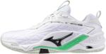 Mizuno WAVE STEALTH NEO 2 Unisex Kézilabda cipő X1GA240016