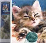NORIMPEX - Puzzle Pictura cu diamant Pisicuta cu bila 30x40cm - 1 - 39 piese