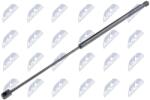 NTY Amortizor portbagaj NTY AE-CT-010 (AE-CT-010)