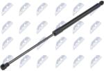 NTY Amortizor portbagaj NTY AE-CT-043 (AE-CT-043)