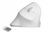 Delock 12596 Mouse