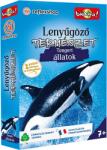AMIGO Lenyűgöző természet: Tengeri állatok (BVNCSARS)