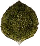 COSTA NOVA un set de farfurii Riviera Hydrangea 22 cm 6-pack 99KK-KBU774_78X (VEP221.FRT.SET6)
