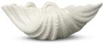 Byon castron Shell S 99KK-ZSU032_00X (5260906502) Castron